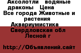 Аксолотли / водяные драконы › Цена ­ 500 - Все города Животные и растения » Аквариумистика   . Свердловская обл.,Лесной г.